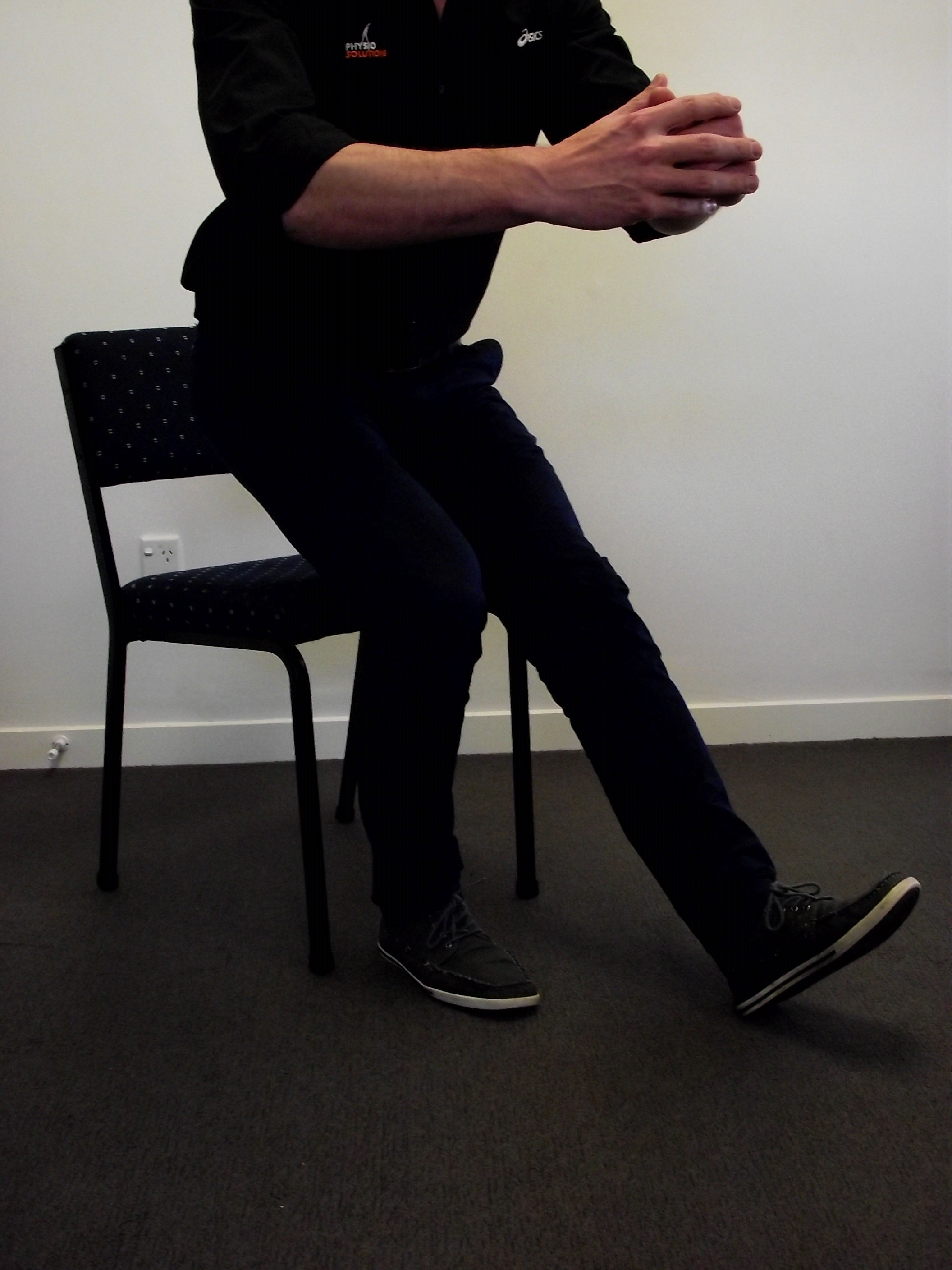 Single Leg Squat