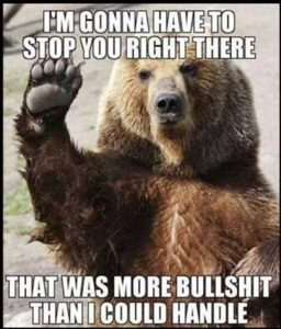 BS Bear