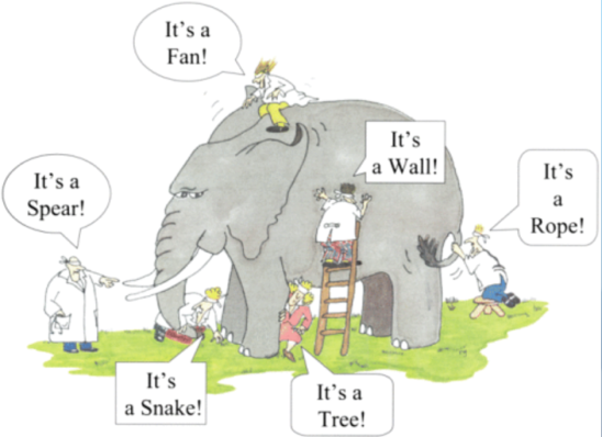 Figure 1. The mereological fallacy of blind people around an elephant describing its specific parts, not as a whole.